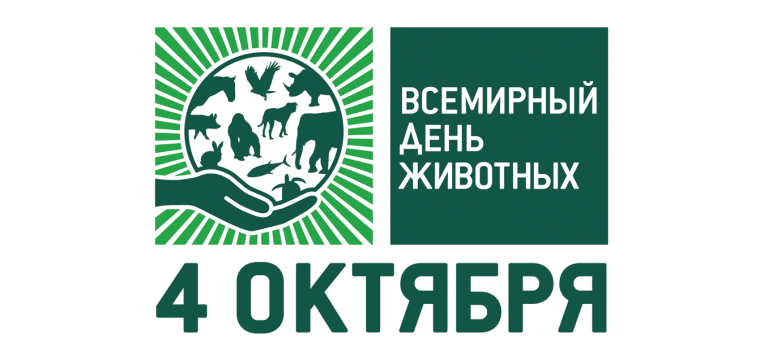 Aкция «Для братьев наших меньших».
